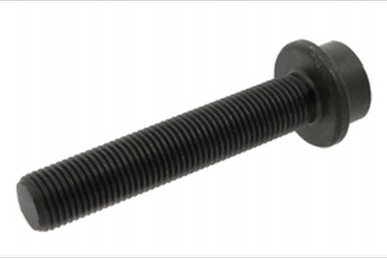 Vite cilindrica M14 x 1,5 x 75 mm