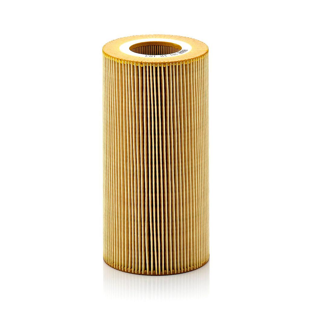Elemento del filtro dell'olio DAF MANN FILTER