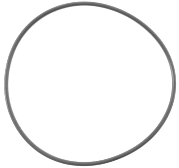 O-ring per SCANIA