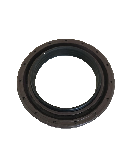 Paraolio Pignone IVECO