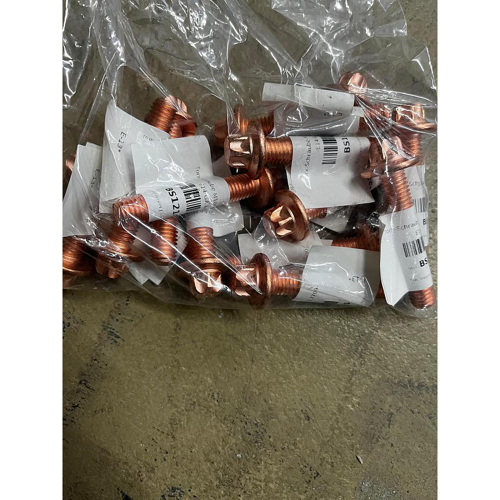 Torx-Schraube M10x57-1.7709-E14-GA-W