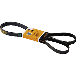 Keilrippenriemen 10Pk 1850
